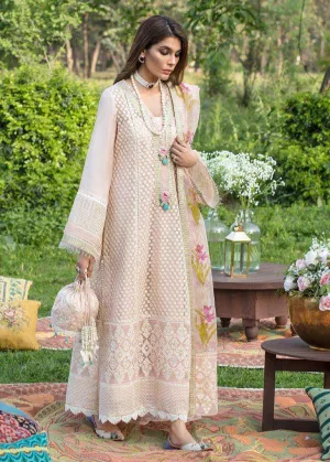 Beige Long Net Karachi Embroidery Pakistani Wear
