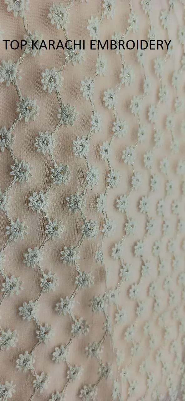 Beige Long Net Karachi Embroidery Pakistani Wear